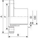 FLANGE NF DN150 H3 1.4307