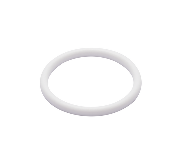 Gasket G DN100 PTFE (G) DIN 11851