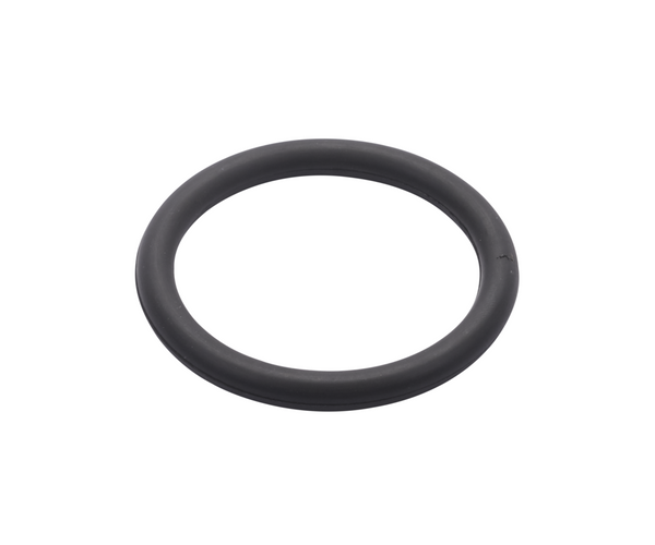 SEAL RING 76.1 FPM