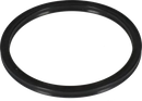 other-fittings-gasket-h40-2-fpm-8010000066-front_medium.webp