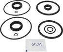 valves-service-kit-epdm-unique-double-seat-63.5-76dn65-80-plug-set-up-1-and-15-9611921552-content_medium.webp