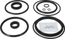 valves-service-kit-epdm-unique-double-seat-63.5-76dn65-80-plug-set-up-2-and-13-9611921576-content_medium.webp