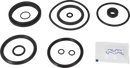 valves-service-kit-epdm-unique-to-51dn50-stub-flange-valve-plug-set-up-6-9611926481-content_medium.webp