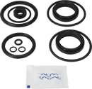 valves-service-kit-fpm-unique-double-seat-38dn40-plug-set-up-4-and-14-9611921634-content_medium.webp