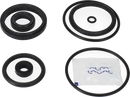 valves-service-kit-fpm-unique-double-seat-51dn50-plug-set-up-10-and-11-9611921779-content_medium.webp