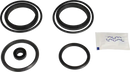 valves-service-kit-fpm-unique-double-seat-51dn50-plug-set-up-12-9611921827-content_medium.webp