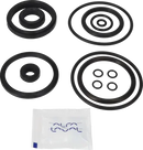 valves-service-kit-fpm-unique-double-seat-51dn50-plug-set-up-5-and-8-9611921659-content_medium.webp