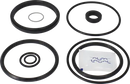 valves-service-kit-fpm-unique-to-63-5-76-1dn65-80-tank-flange-valve-plug-set-up-12-9611926439-content_medium.webp