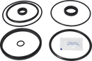valves-service-kit-hnbr-unique-double-seat-101.6dn100-plug-set-up-10-and-11-9611926369-content_medium.webp