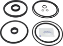 valves-service-kit-hnbr-unique-double-seat-101.6dn100-plug-set-up-2-and-13-9611926341-content_medium.webp