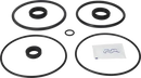 valves-service-kit-hnbr-unique-double-seat-101.6dn100-plug-set-up-9-9611921765-content_medium.webp