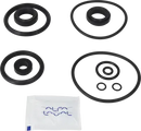 valves-service-kit-hnbr-unique-double-seat-51dn50-plug-set-up-1-and-15-9611921568-content_medium.webp