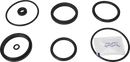 valves-service-kit-hnbr-unique-double-seat-51dn50-plug-set-up-12-9611921833-content_medium.webp