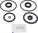 valves-service-kit-hnbr-unique-double-seat-51dn50-plug-set-up-9-9611921761-content_medium.webp