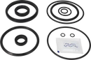 valves-service-kit-hnbr-unique-double-seat-63.5-76dn65-80-plug-set-up-3-and-16-9611921618-content_medium.webp