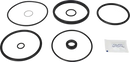 valves-service-kit-hnbr-unique-to-101.6dn100-stub-flange-valve-plug-set-up-12-9611926476-content_medium.webp