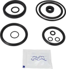 valves-service-kit-hnbr-unique-to-51dn50-stub-flange-valve-plug-set-up-6-9611926484-content_medium.webp