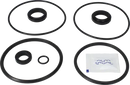 valves-service-kit-nbr-unique-double-seat-101.6dn100-plug-set-up-9-9611926363-content_medium.webp