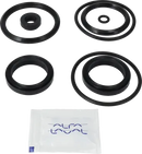 valves-service-kit-nbr-unique-double-seat-38dn40-plug-set-up-12-9611921820-content_medium.webp