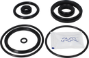valves-service-kit-nbr-unique-double-seat-51dn50-plug-set-up-10-and-11-9611921773-content_medium.webp