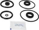 valves-service-kit-nbr-unique-double-seat-51dn50-plug-set-up-9-9611921749-content_medium.webp