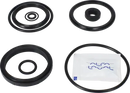 valves-service-kit-nbr-unique-to-51dn50-stub-flange-valve-plug-set-up-12-9611926466-content_medium.webp